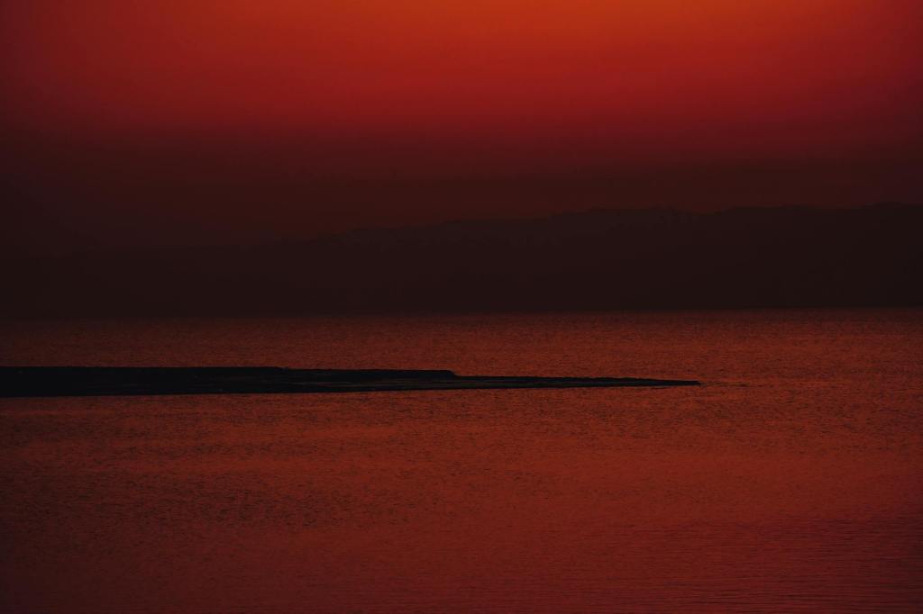 The White Lily&nbsp;Project